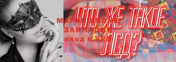 сатива Алзамай